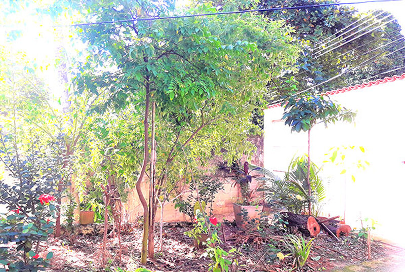 Terreno com 522 m² para investidores Rua Macedo  Coimbra Campo Grande – RJ